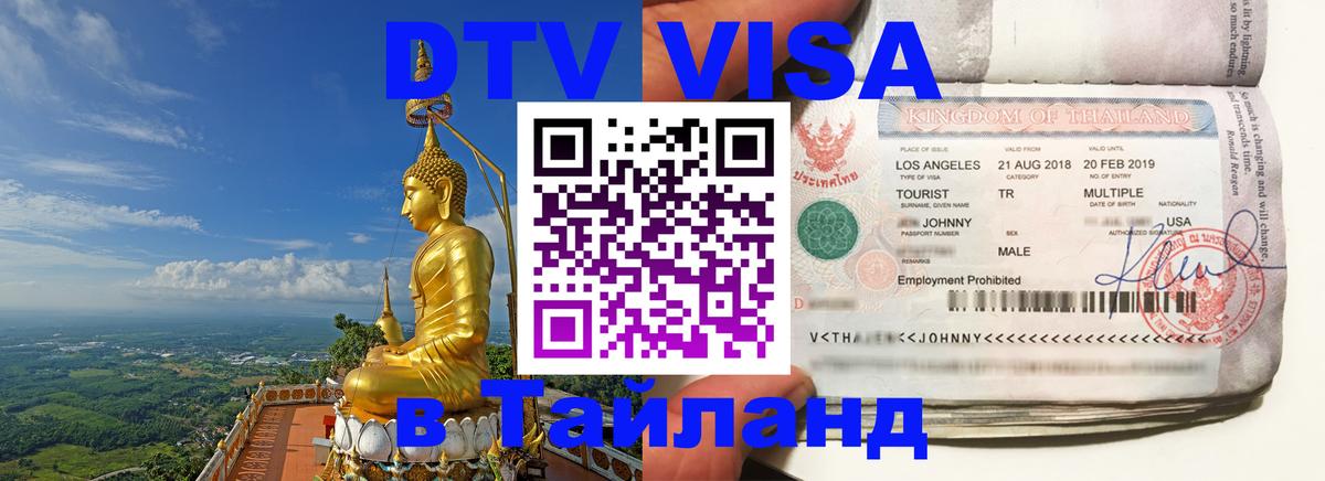 Оформление DTV визы под ключ: стоимость и тарифы, только загранпаспорт - Саранск 